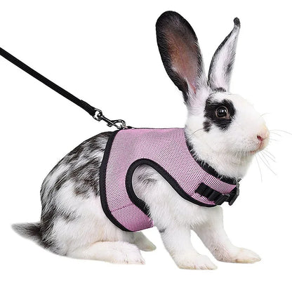 Ensemble harnais et laisse en maille respirante pour petits animaux