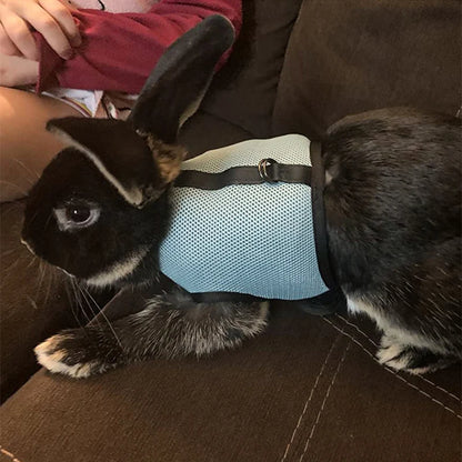 Ensemble harnais et laisse en maille respirante pour petits animaux