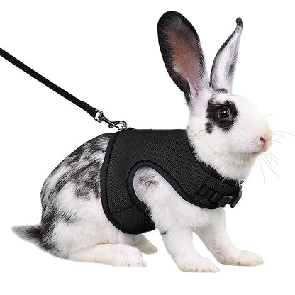 Ensemble harnais et laisse en maille respirante pour petits animaux