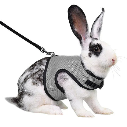 Ensemble harnais et laisse en maille respirante pour petits animaux