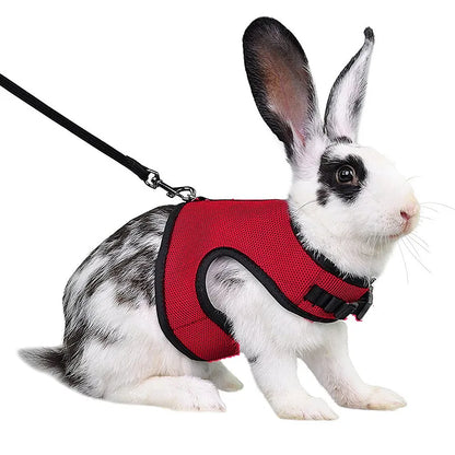 Ensemble harnais et laisse en maille respirante pour petits animaux