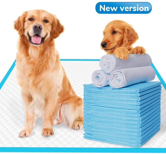 Couches absorbantes pour chiens – Couches jetables imperméables pour chiens pour des sols propres et le confort des animaux 