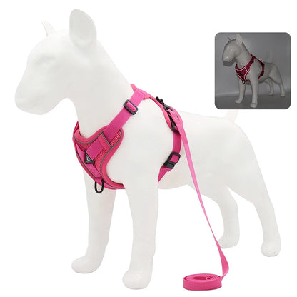 Ensemble harnais et laisse anti-traction pour chien – Gilet en maille réfléchissante réglable pour chiens de petite et moyenne taille, chats, bouledogues français 