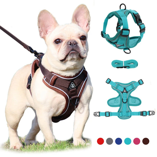 Ensemble harnais et laisse anti-traction pour chien – Gilet en maille réfléchissante réglable pour chiens de petite et moyenne taille, chats, bouledogues français 