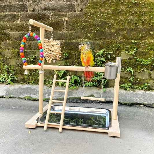 Aire de jeux pour oiseaux avec perchoirs – Aire de jeux avec mangeoires, balançoire et échelle d’escalade pour perruches, calopsittes et inséparables