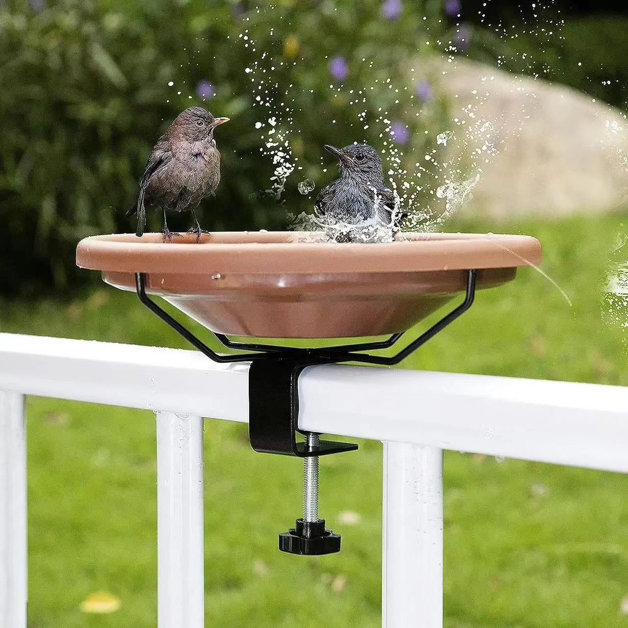 Support de vaisselle pour oiseaux populaire Bain de jardin extérieur Colibri prédateur Mangeoire créative en fer forgé Accessoires pour oiseaux