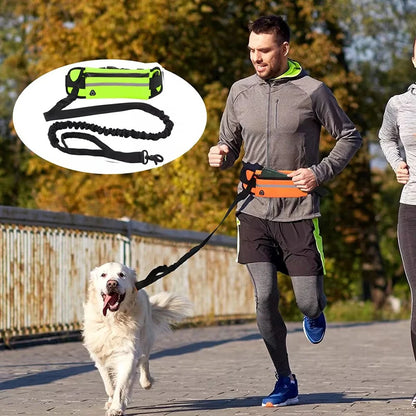 Laisse pour chien mains libres pour courir, marcher, laisse réfléchissante avec sac banane, ceinture élastique rétractable, corde de traction pour chien, produits pour animaux de compagnie