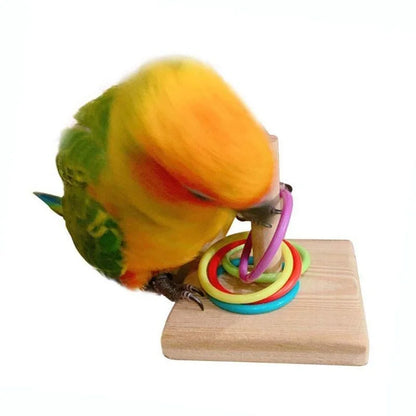 Anneau de dressage pour oiseaux – Jouet éducatif et interactif pour perroquets pour s'amuser et apprendre