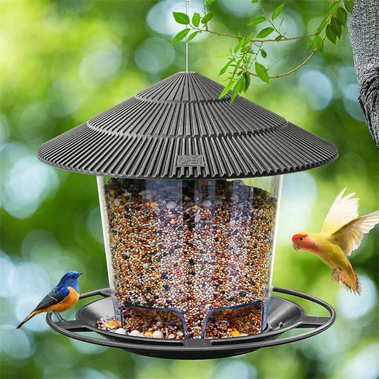 Mangeoire automatique pour oiseaux d'extérieur – Distributeur de noix suspendu avec plusieurs trous d'alimentation