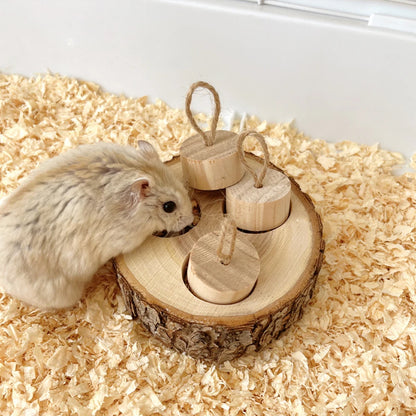 Jouet à mâcher en bois de forme ronde pour perroquet, fournitures éducatives pour petits oiseaux de compagnie, perroquet, hamster, lapin, jouets à mâcher, jouets de recherche de nourriture