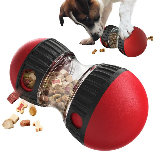 Jouet interactif pour chien avec balle roulante - Distributeur de friandises et booster d'intelligence, conception de piste elliptique durable