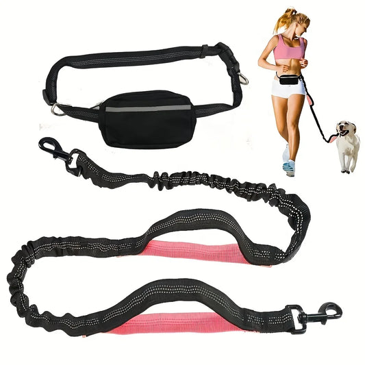 Ensemble collier et laisse réfléchissants pour chien – Idéal pour la course et la marche