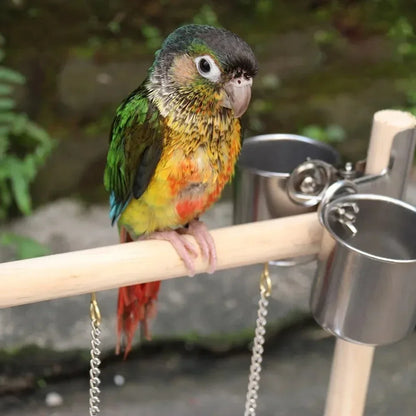 Aire de jeux pour oiseaux avec perchoirs – Aire de jeux avec mangeoires, balançoire et échelle d’escalade pour perruches, calopsittes et inséparables