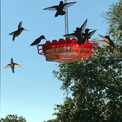 Système de crochets pour oiseaux sauvages, stations de suspension pour animaux de compagnie, mangeoire hexagonale, abreuvoir de jardin avec eau pour colibris, unique