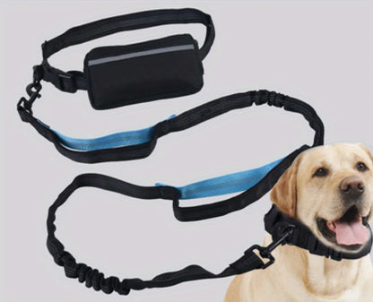 Ensemble collier et laisse réfléchissants pour chien – Idéal pour la course et la marche