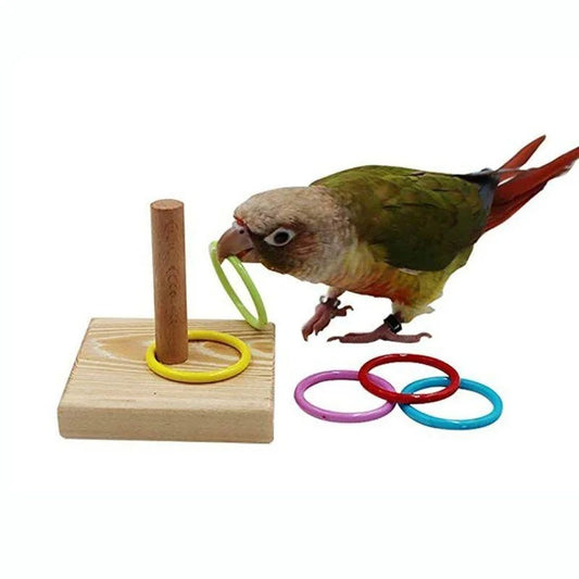 Anneau de dressage pour oiseaux – Jouet éducatif et interactif pour perroquets pour s'amuser et apprendre