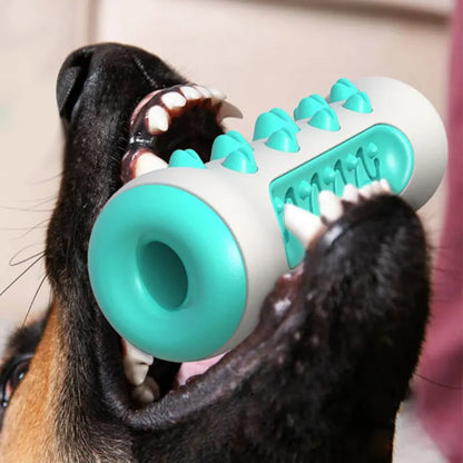Jouet à mâcher pour chien - Bâton de dentition - Os de nettoyage des dents à 360° pour les soins dentaires des chiots, TPR sûr et durable 