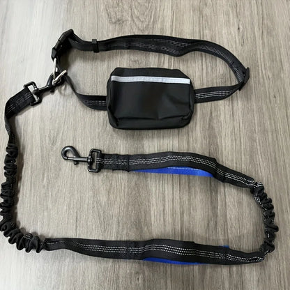 Ensemble collier et laisse réfléchissants pour chien – Idéal pour la course et la marche