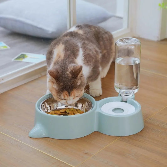 Gamelle pour chat 2 en 1 avec distributeur d'eau automatique