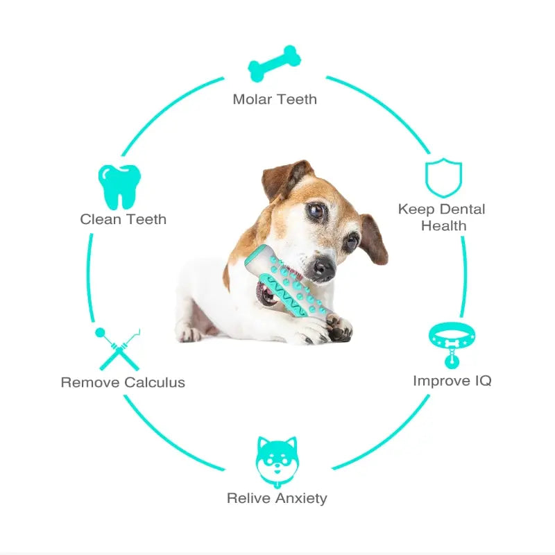Jouet à mâcher pour chien - Bâton de dentition - Os de nettoyage des dents à 360° pour les soins dentaires des chiots, TPR sûr et durable 