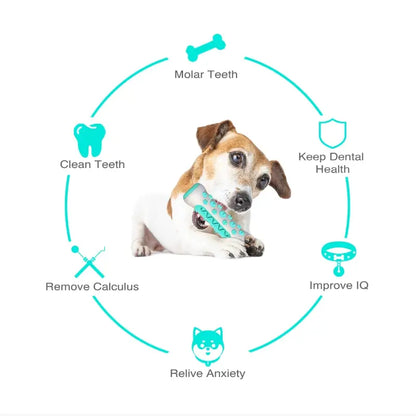 Jouet à mâcher pour chien - Bâton de dentition - Os de nettoyage des dents à 360° pour les soins dentaires des chiots, TPR sûr et durable 