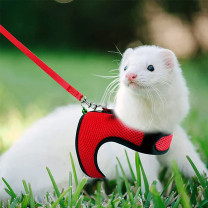 Ensemble harnais et laisse en maille respirante pour petits animaux