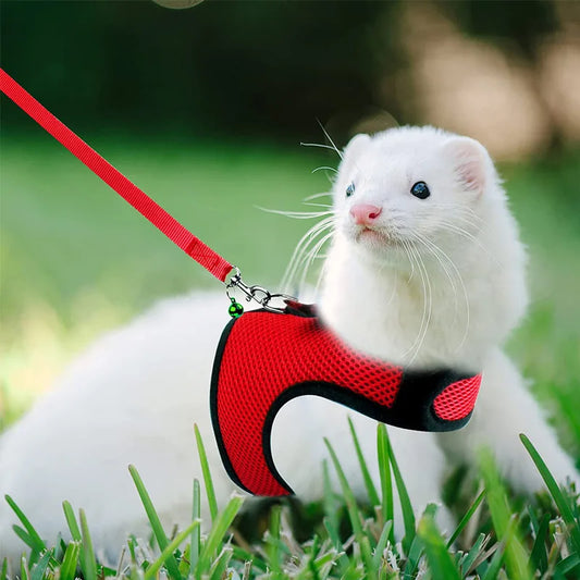 Ensemble harnais et laisse en maille respirante pour petits animaux