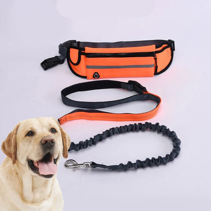 Laisse pour chien mains libres pour courir, marcher, laisse réfléchissante avec sac banane, ceinture élastique rétractable, corde de traction pour chien, produits pour animaux de compagnie