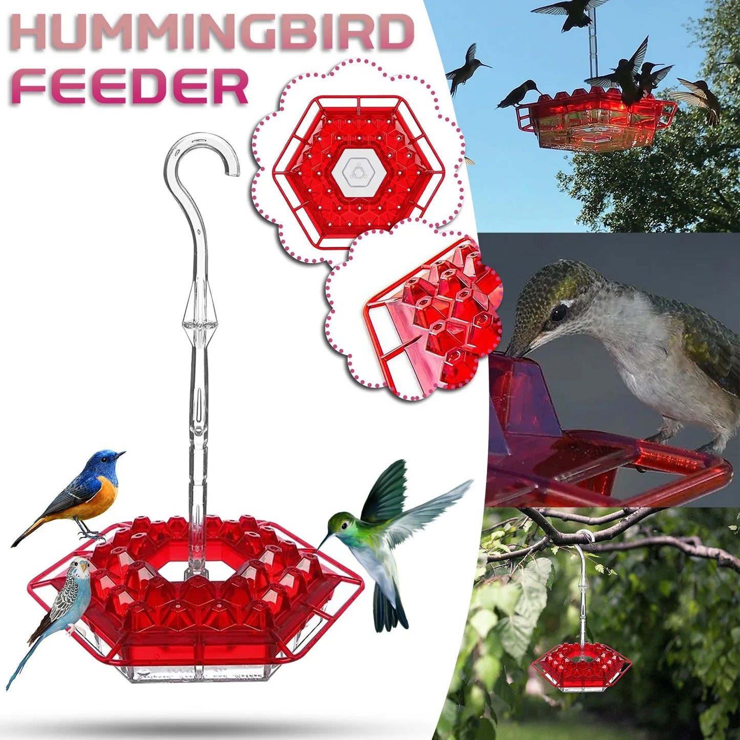 Système de crochets pour oiseaux sauvages, stations de suspension pour animaux de compagnie, mangeoire hexagonale, abreuvoir de jardin avec eau pour colibris, unique