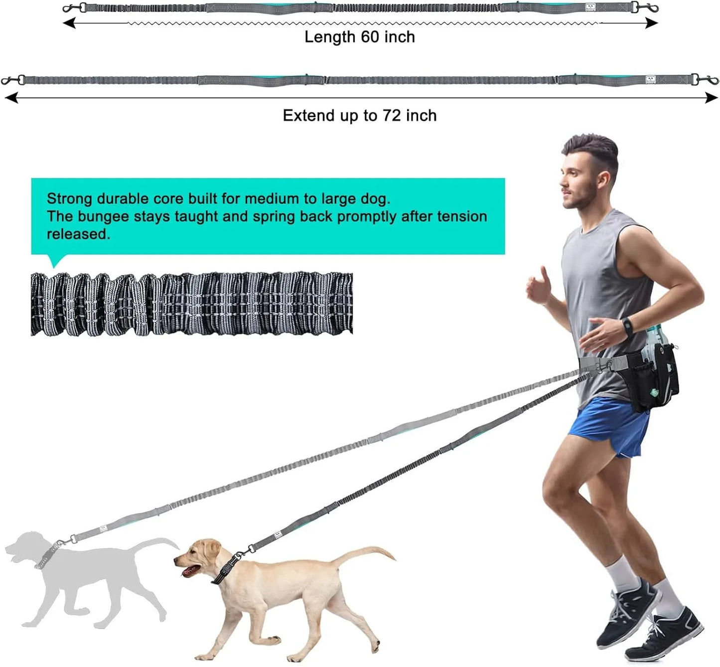 Sac ceinture réglable avec laisse rétractable pour chien mains libres – Coutures réfléchissantes pour la course, la marche, la randonnée