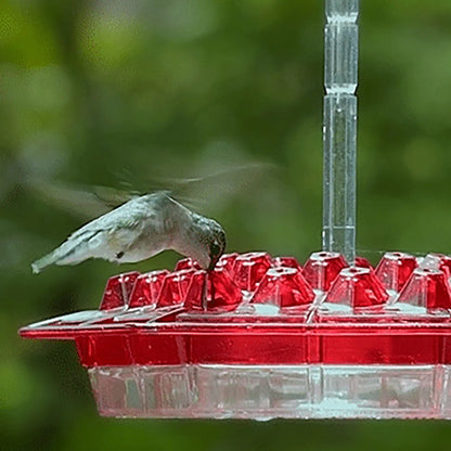 Système de crochets pour oiseaux sauvages, stations de suspension pour animaux de compagnie, mangeoire hexagonale, abreuvoir de jardin avec eau pour colibris, unique