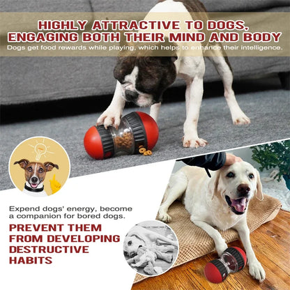 Jouet interactif pour chien avec balle roulante - Distributeur de friandises et booster d'intelligence, conception de piste elliptique durable