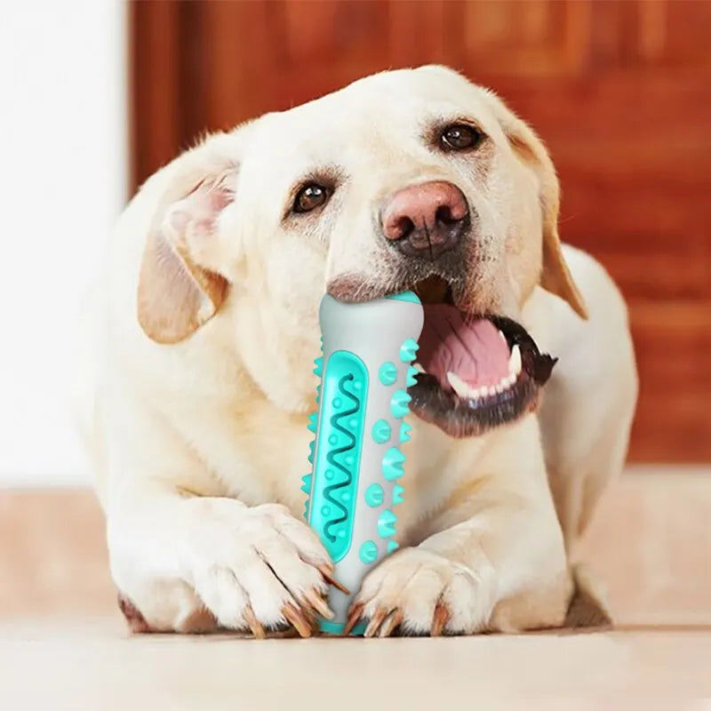 Jouet à mâcher pour chien - Bâton de dentition - Os de nettoyage des dents à 360° pour les soins dentaires des chiots, TPR sûr et durable 