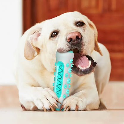 Jouet à mâcher pour chien - Bâton de dentition - Os de nettoyage des dents à 360° pour les soins dentaires des chiots, TPR sûr et durable 