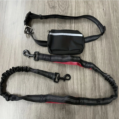 Ensemble collier et laisse réfléchissants pour chien – Idéal pour la course et la marche