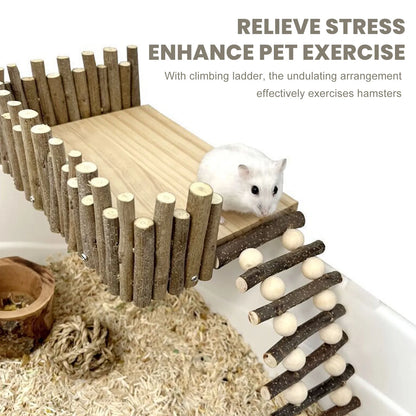 Plateforme d'escalade pour hamster fabriquée à la main - Stable et amusante 