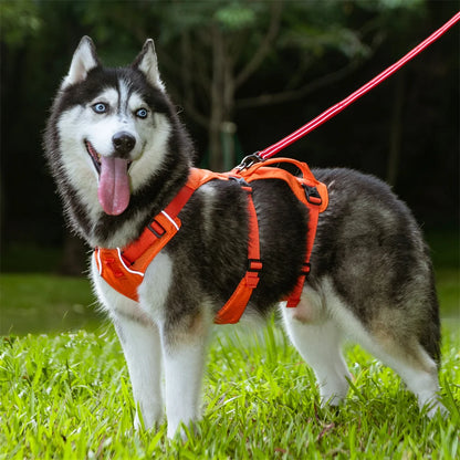 Harnais pour chien respirant et réglable avec poignée – Gilet durable pour grands chiens, idéal pour les promenades et l'entraînement en extérieur 