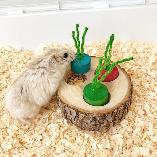 Jouet à mâcher en bois de forme ronde pour perroquet, fournitures éducatives pour petits oiseaux de compagnie, perroquet, hamster, lapin, jouets à mâcher, jouets de recherche de nourriture