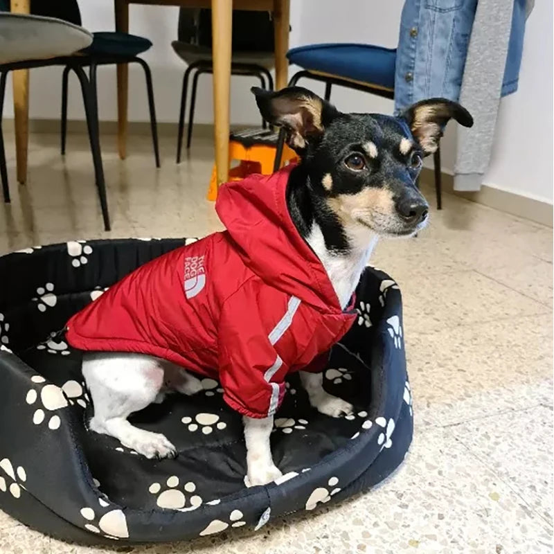 Vêtements imperméables pour chiens, manteau réfléchissant pour animaux de compagnie pour petits et moyens chiens, vestes d'hiver chaudes en polaire pour chiens, imperméable pour chiots, tenue pour chihuahua
