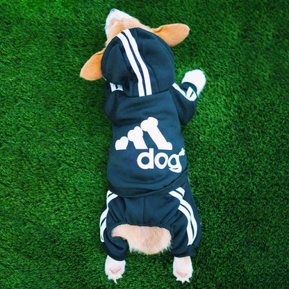 Combinaison à capuche pour chien Adidog - Chaude et élégante 
