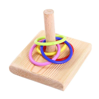 Anneau de dressage pour oiseaux – Jouet éducatif et interactif pour perroquets pour s'amuser et apprendre