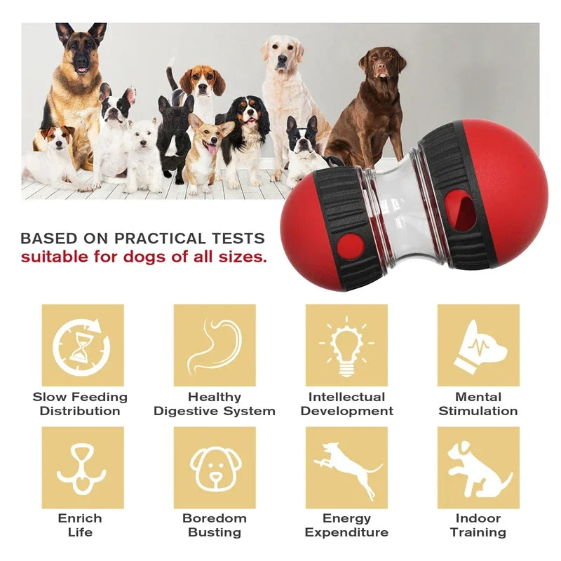 Jouet interactif pour chien avec balle roulante - Distributeur de friandises et booster d'intelligence, conception de piste elliptique durable