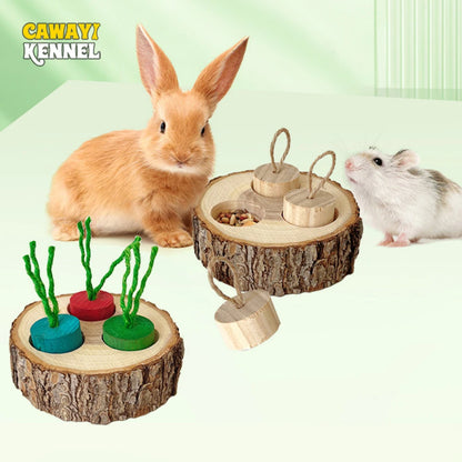 Jouet à mâcher en bois de forme ronde pour perroquet, fournitures éducatives pour petits oiseaux de compagnie, perroquet, hamster, lapin, jouets à mâcher, jouets de recherche de nourriture