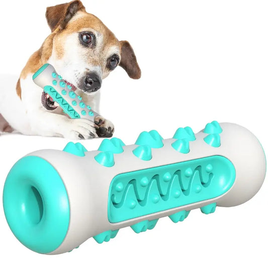 Jouet à mâcher pour chien - Bâton de dentition - Os de nettoyage des dents à 360° pour les soins dentaires des chiots, TPR sûr et durable 