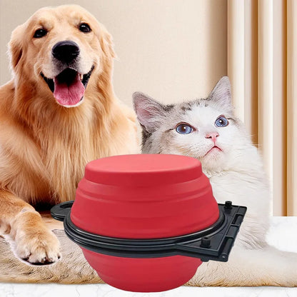 Gamelle de voyage pliable 2 en 1 pour chiens et chats – Gamelle portable pour nourriture et eau pour les aventures en plein air