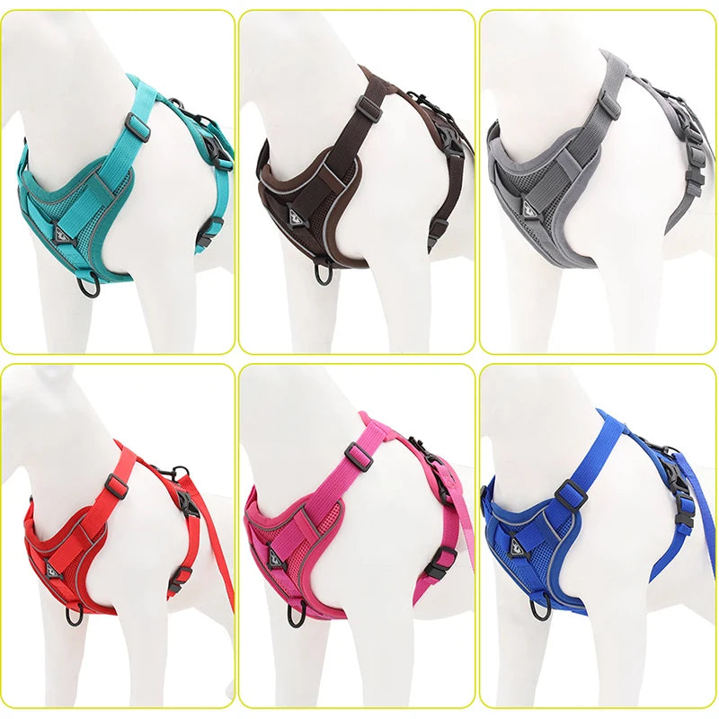 Ensemble harnais et laisse anti-traction pour chien – Gilet en maille réfléchissante réglable pour chiens de petite et moyenne taille, chats, bouledogues français 