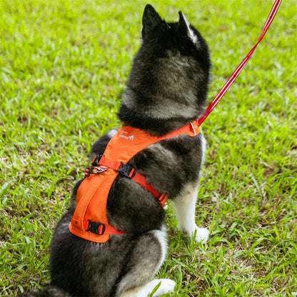 Harnais pour chien respirant et réglable avec poignée – Gilet durable pour grands chiens, idéal pour les promenades et l'entraînement en extérieur 