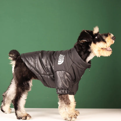 Veste d'hiver pour chien - Manteau réfléchissant chaud et coupe-vent 