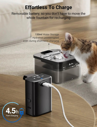 Fontaine à eau automatique pour chat en acier inoxydable DownyPaws de 2,5 L - Sans fil, alimentée par batterie, activée par capteur