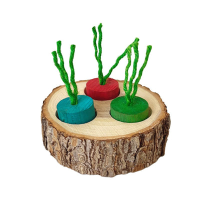 Jouet à mâcher en bois de forme ronde pour perroquet, fournitures éducatives pour petits oiseaux de compagnie, perroquet, hamster, lapin, jouets à mâcher, jouets de recherche de nourriture